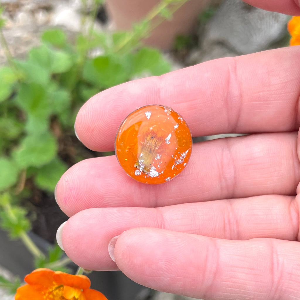 Pin’s botaniques Argentés – Collection Chroma