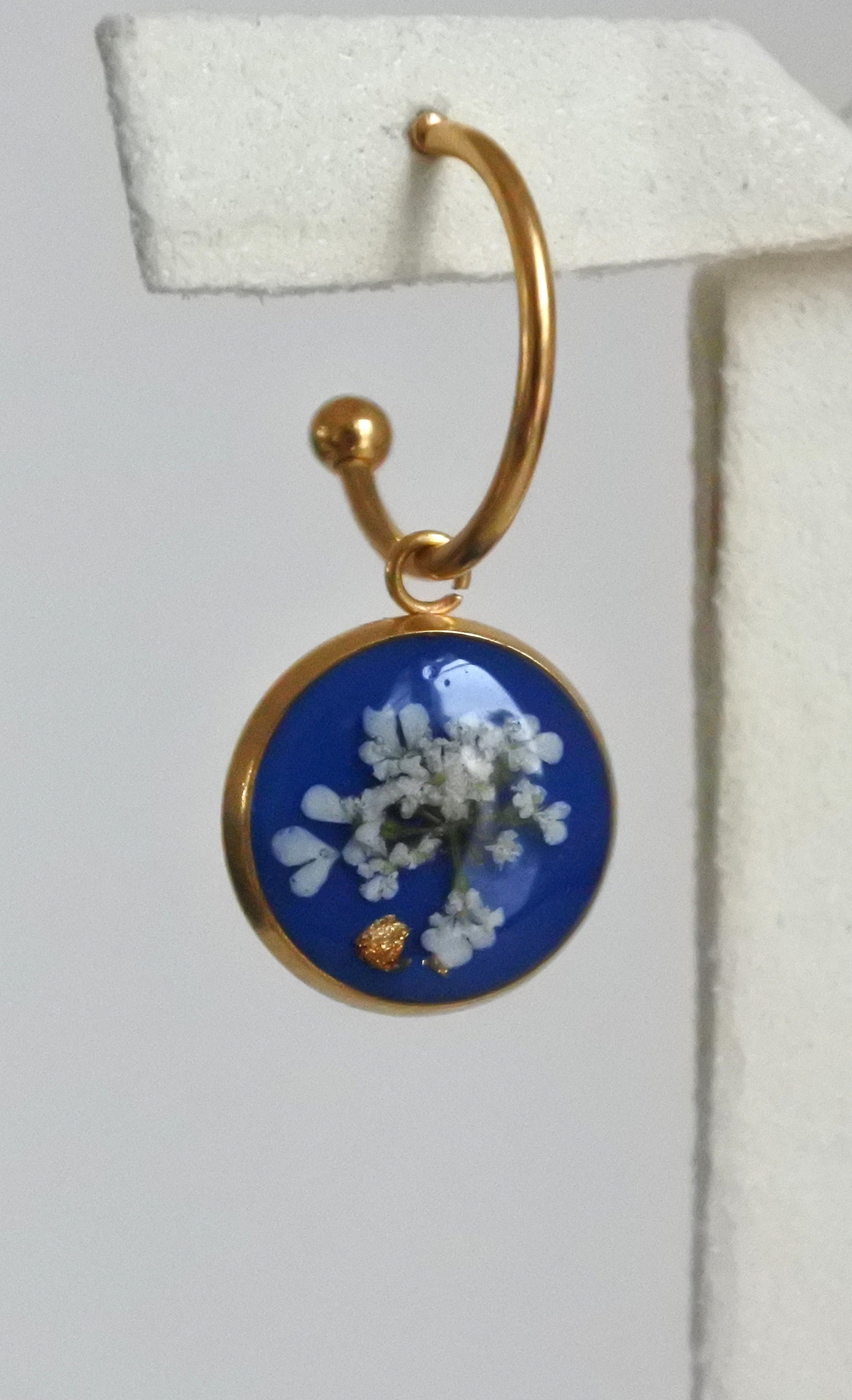 Clous demi-créoles Carotte sauvage sur fond bleu