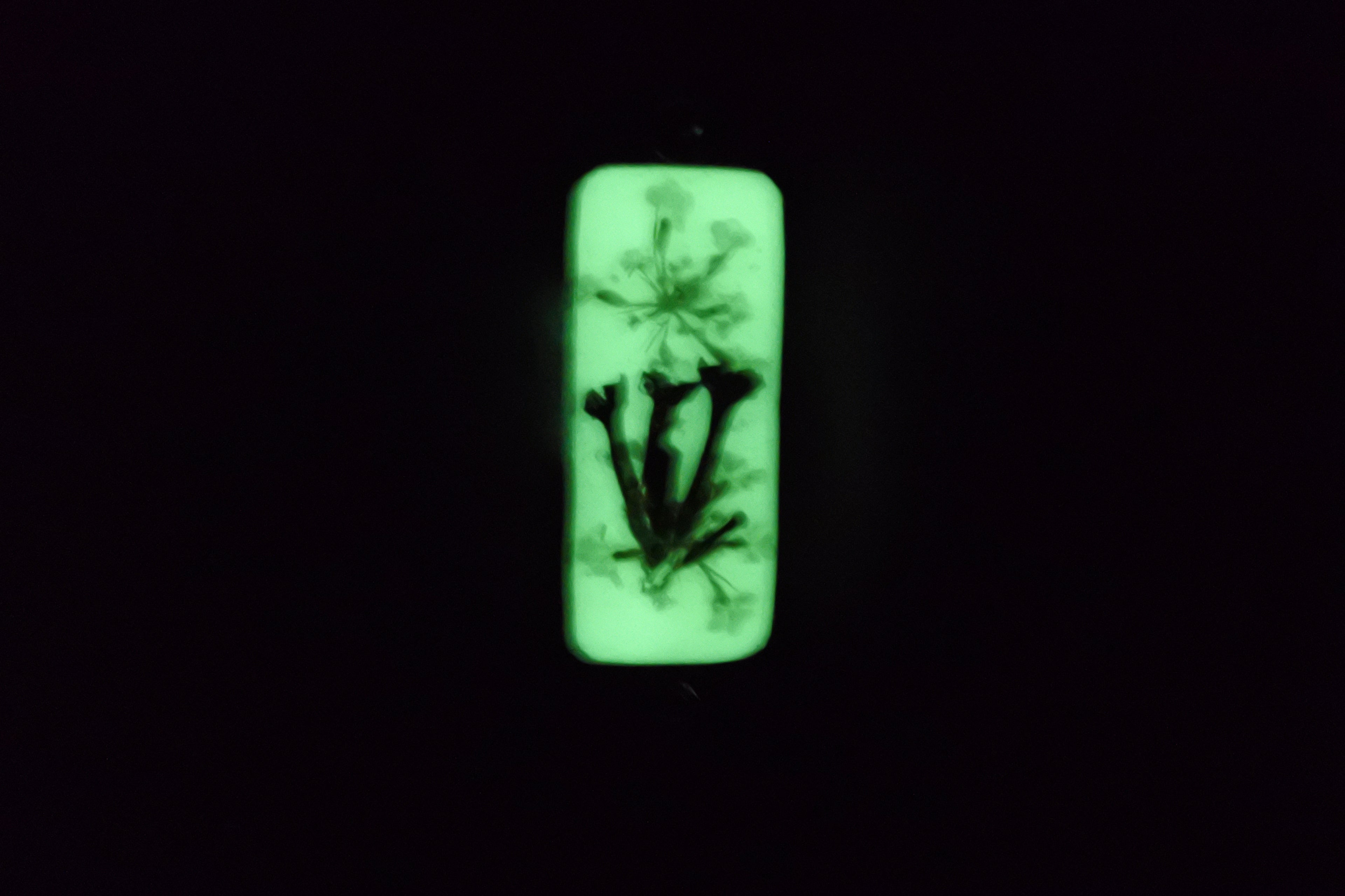 Bracelet réglable semi-rigide phosphorescent