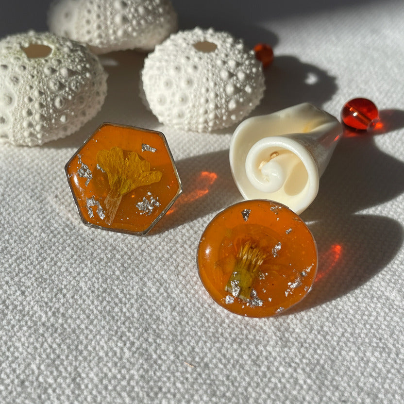 Pin’s botaniques Argentés – Collection Chroma