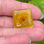 Pin’s botaniques Dorés – Collection Chroma