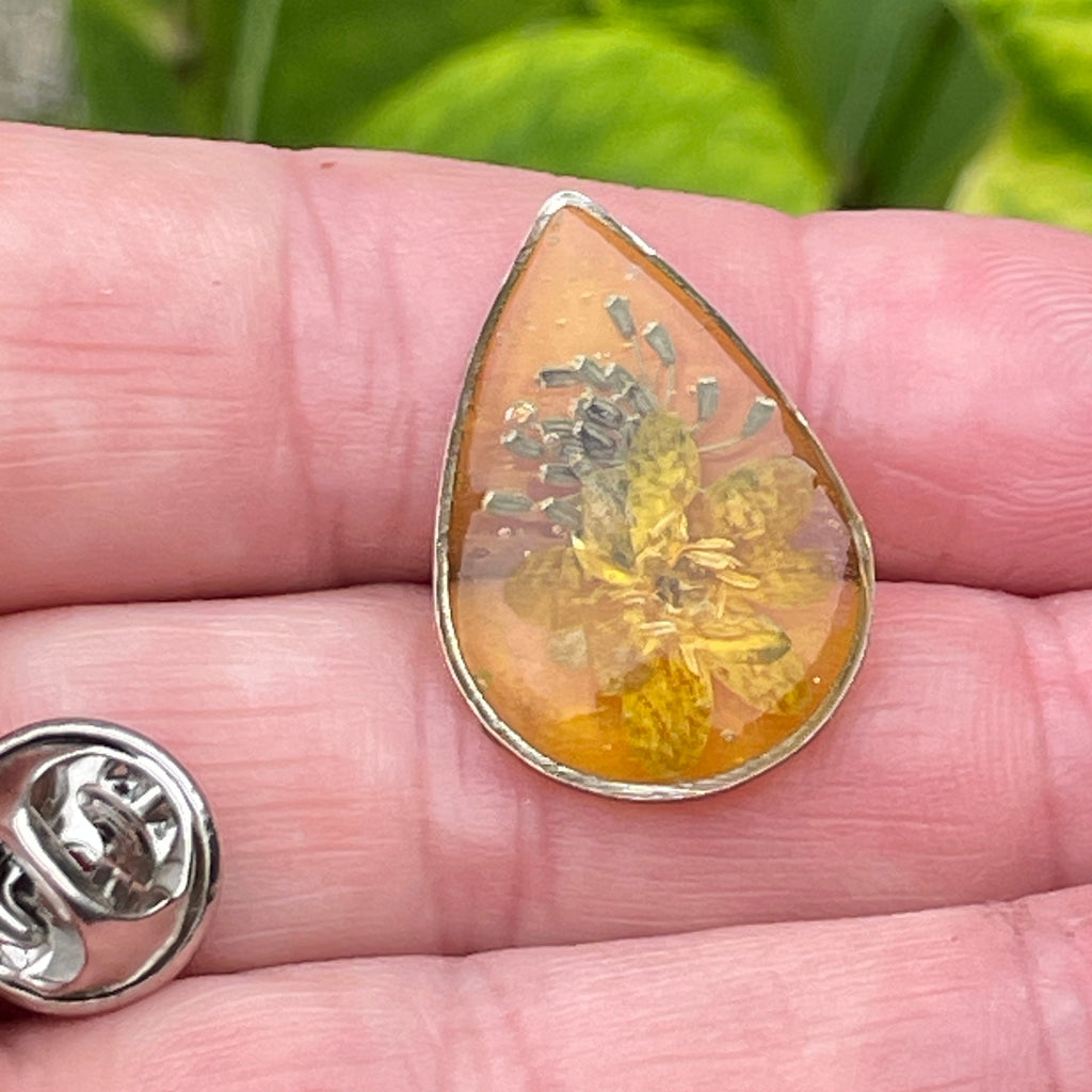 Pin’s botaniques Argentés – Collection Chroma