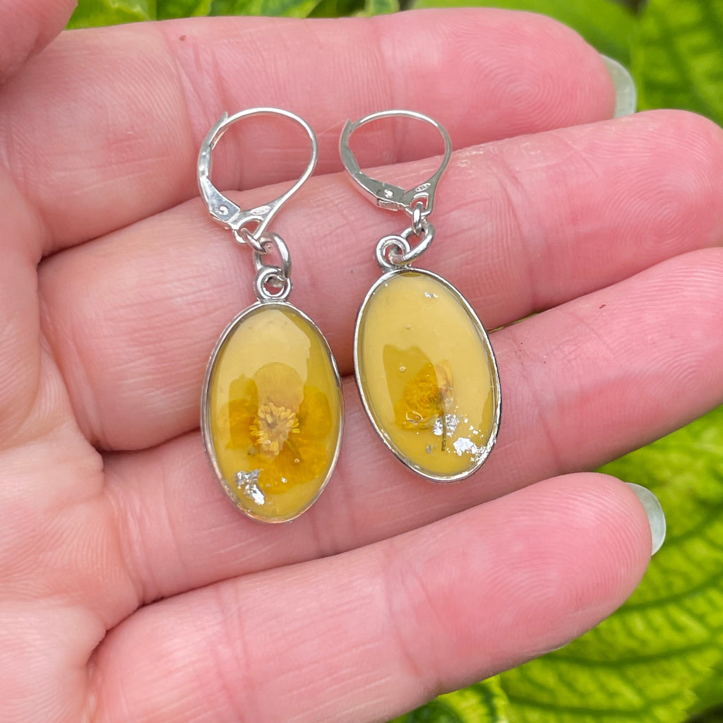 Boucles d'oreilles Eclat Argenté - Collection Chroma