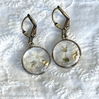 Boucles d'oreilles - Blanche (Myosotis rondes)