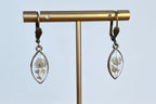 Boucles d'oreilles - Blanche (Gypsophile)