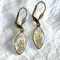 Boucles d'oreilles - Blanche (Gypsophile)