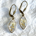 Boucles d'oreilles - Blanche (Gypsophile)