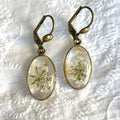 Boucles d'oreilles - Blanche (Carotte sauvage)
