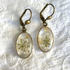 Boucles d'oreilles - Blanche (Carotte sauvage)