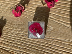 Pin’s – Carré Epine du Christ