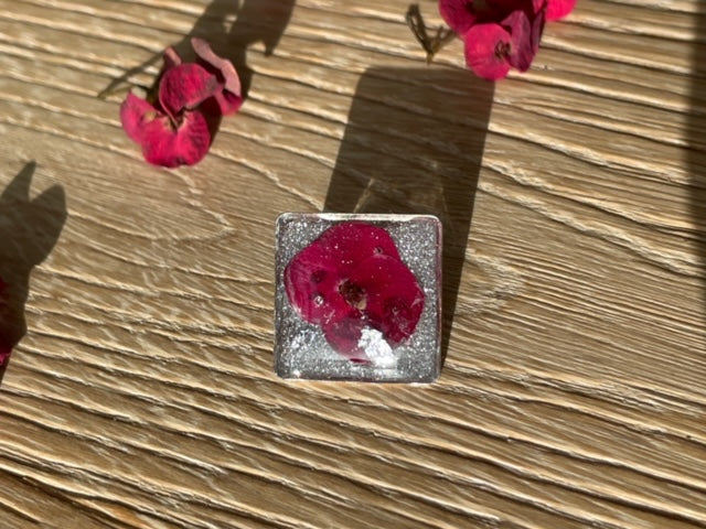 Pin’s – Carré Epine du Christ