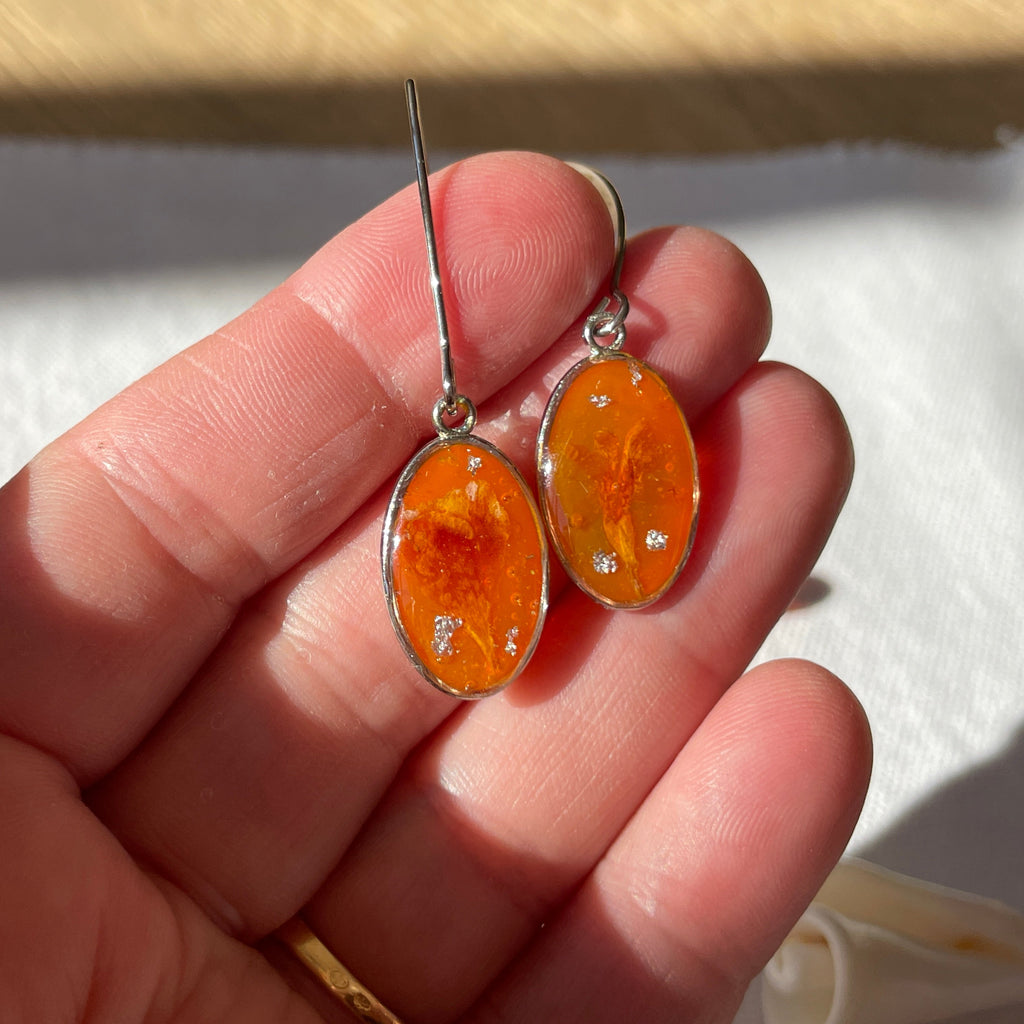 Boucles d'oreilles Eclat Argenté - Collection Chroma