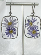 Grandes résines argentées Aster